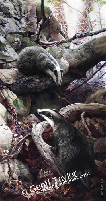 Badgers Badgers