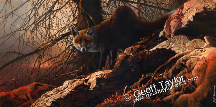 Foxy Foxy