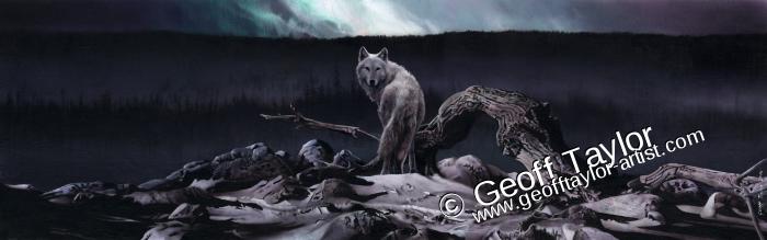 Boreal Boreal