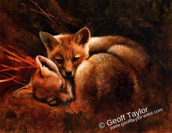 Fox Cubs Resting Fox Cubs Resting