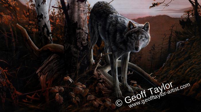 Lone Wolf Lone Wolf