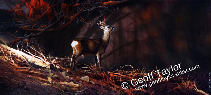 Roebuck in Autumn Twilight Roebuck in Autumn Twilight