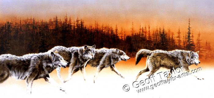 Wolves on the Run Wolves on the Run
