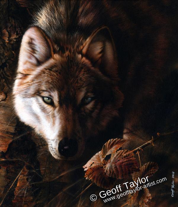 Wolf! (Wolf Portrait) Wolf! (Wolf Portrait)