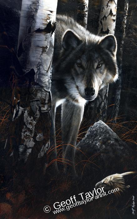 Grey Wolf Grey Wolf