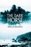 The Dark Horse - Marcus Sedgwick - art by Geoff Taylor