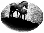 Horse and Foal - art by Geoff Taylor Horse and Foal - art by Geoff Taylor
