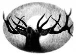 Red Deer - art by Geoff Taylor Red Deer - art by Geoff Taylor