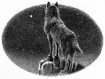 Ch 1 Wolf looking at the huge, brilliant, blue-white star. - art by Geoff Taylor Ch 1 Wolf looking at the huge, brilliant, blue-white star. - art by Geoff Taylor