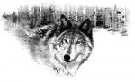 Wolf 01 - art by Geoff Taylor
